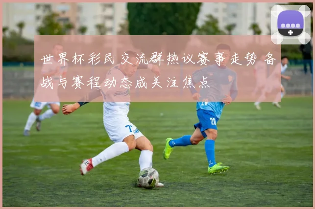 世界杯彩民交流群热议赛事走势 备战与赛程动态成关注焦点