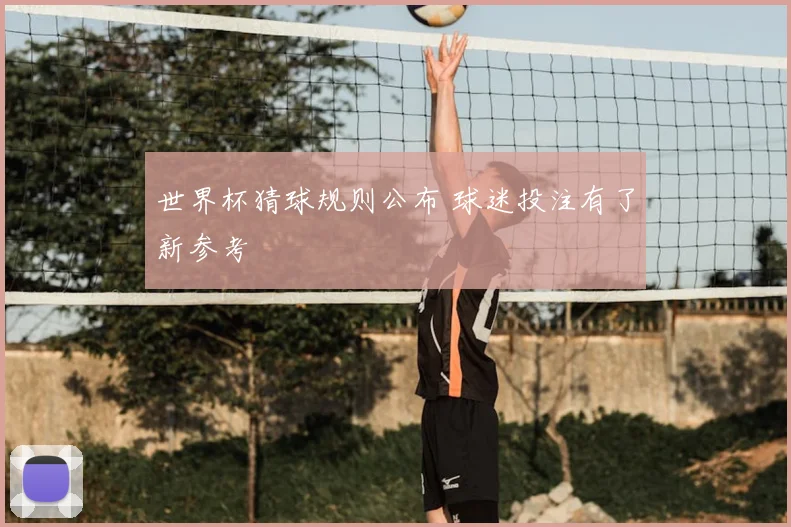 世界杯猜球规则公布 球迷投注有了新参考