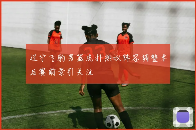 辽宁飞豹男篮虎扑热议阵容调整季后赛前景引关注