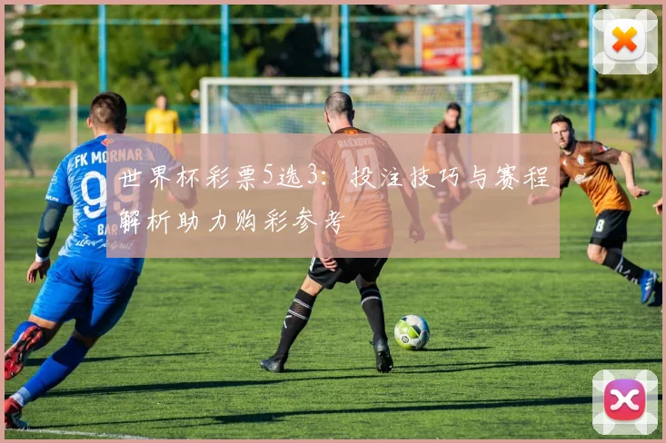 世界杯彩票5选3:投注技巧与赛程解析助力购彩参考