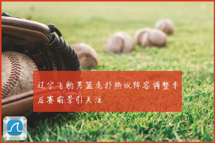 辽宁飞豹男篮虎扑热议阵容调整季后赛前景引关注