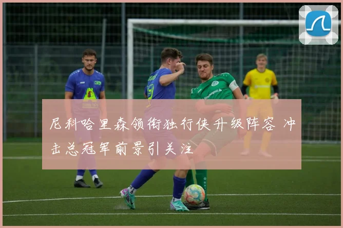 尼科哈里森领衔独行侠升级阵容 冲击总冠军前景引关注