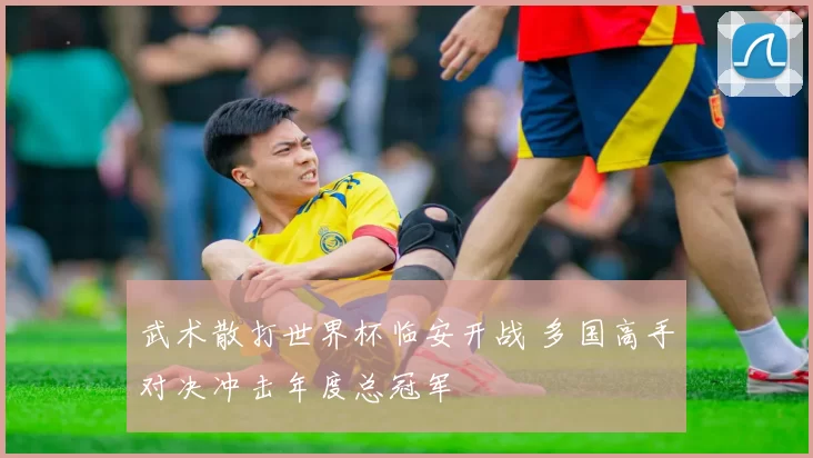 武术散打世界杯临安开战 多国高手对决冲击年度总冠军