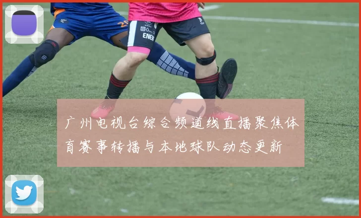 广州电视台综合频道线直播聚焦体育赛事转播与本地球队动态更新