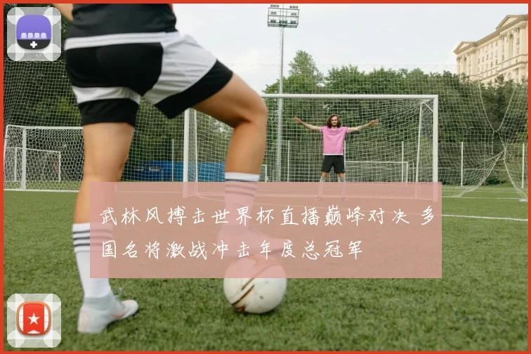 武林风搏击世界杯直播巅峰对决 多国名将激战冲击年度总冠军