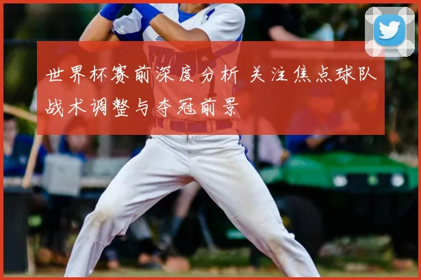 世界杯赛前深度分析 关注焦点球队战术调整与夺冠前景