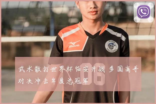 武术散打世界杯临安开战 多国高手对决冲击年度总冠军